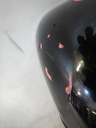 DSCN2819.JPG
