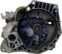IMG_4075.png