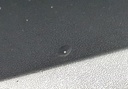 20250310_113033.jpg