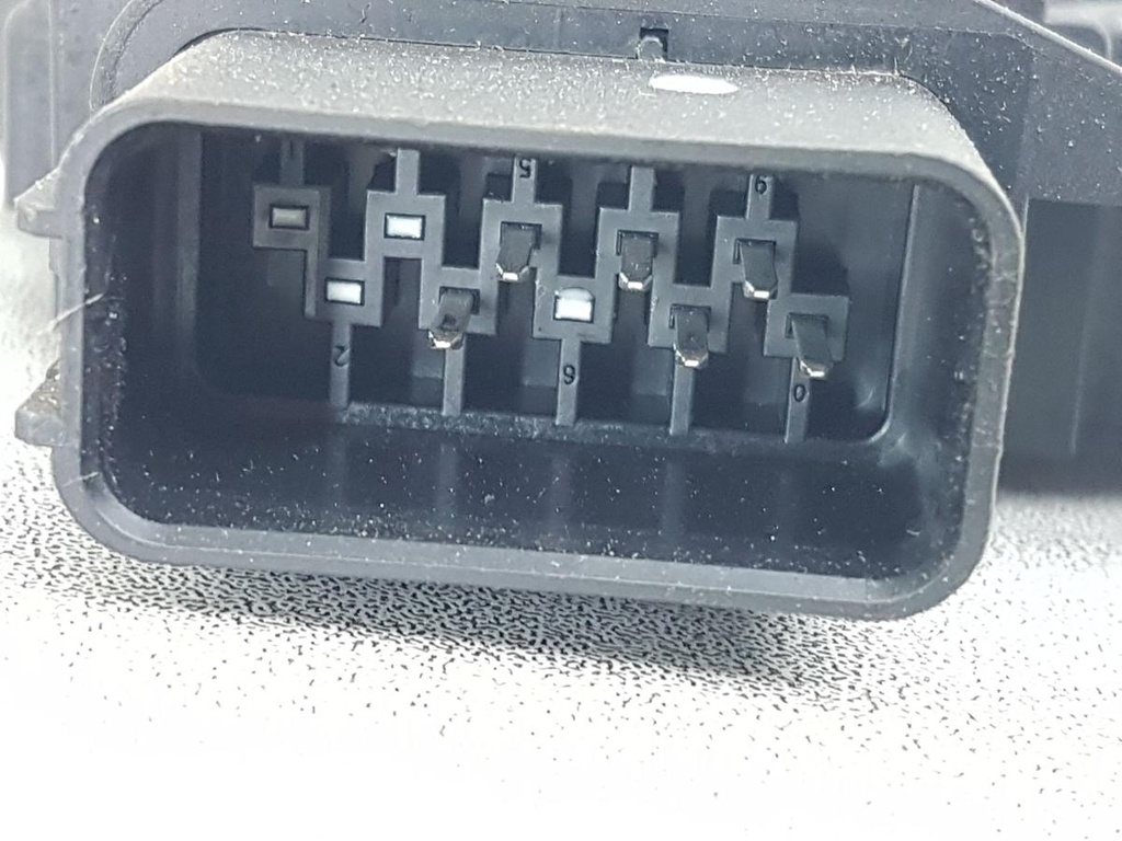 20250319_125503.jpg