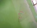 DSCN3209.JPG