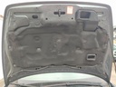IMG_20250324_102012.jpg