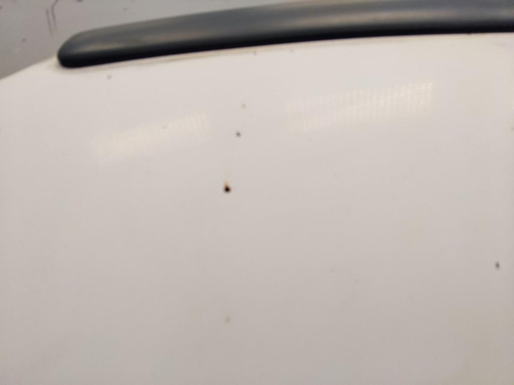IMG_20250402_131424.jpg