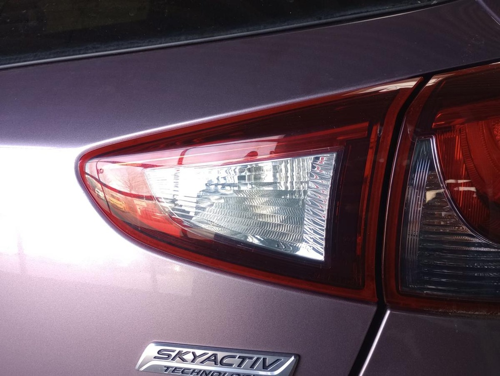 IMG_20250407_094819456.jpg