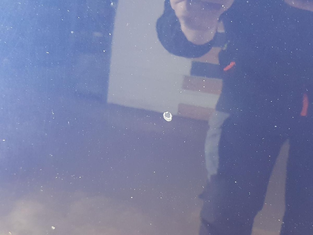 20250415_100525.jpg