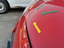 IMG_20250416_144539.jpg
