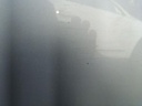 IMG_20250505_091833.jpg