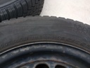 IMG_20250506_095019246.jpg