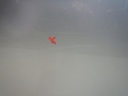 DSCN4208.JPG