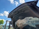 IMG_20250530_105236.jpg