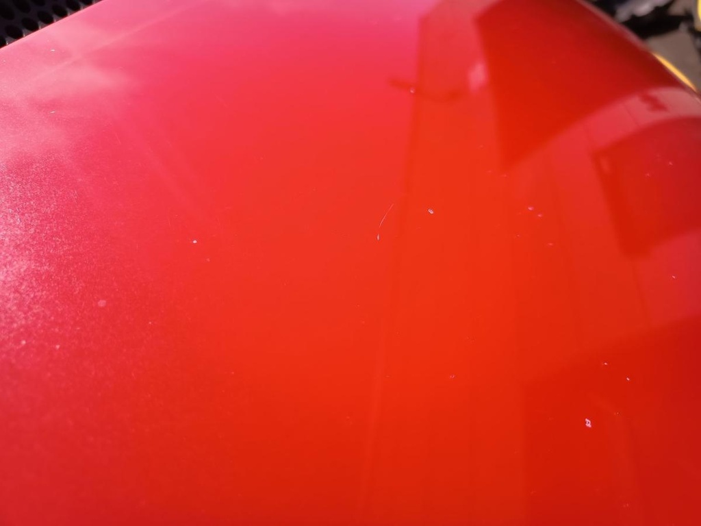 IMG_20250613_111446.jpg