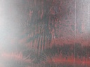 20250613_141042.jpg