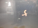 DSCN4909.JPG