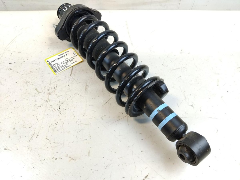 IMG_20250704_110338.jpg