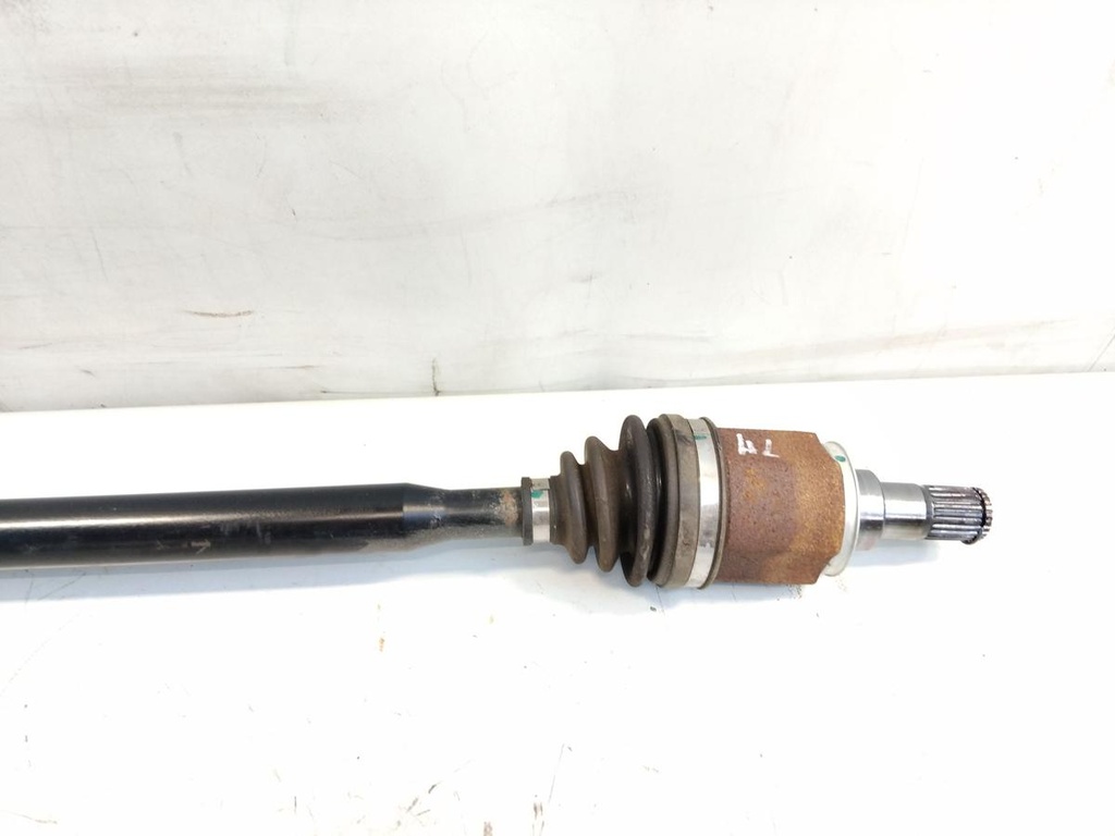 IMG_20250704_110836.jpg