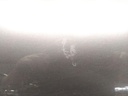 IMG_20250709_134917.jpg