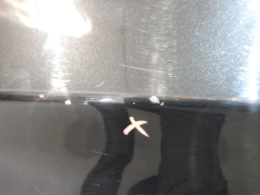 DSCN5471.JPG