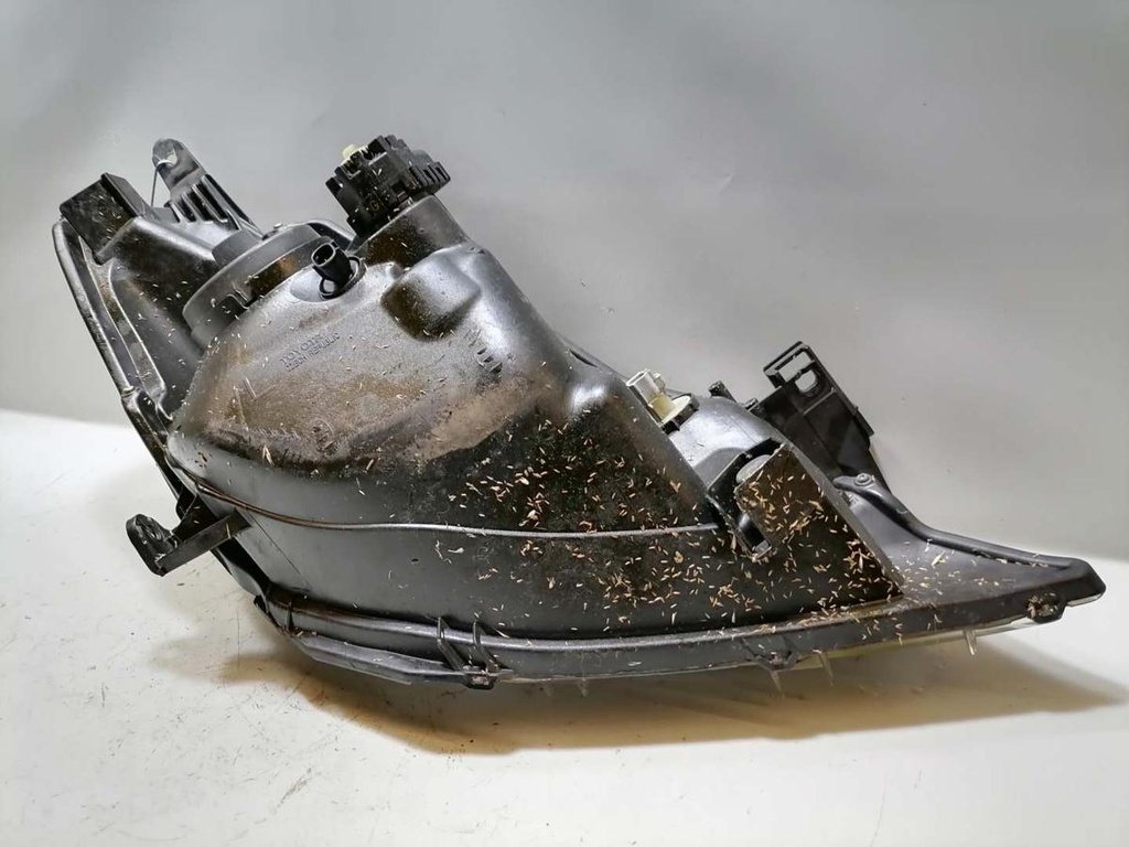 IMG_20250711_130327 (kleiner).jpg