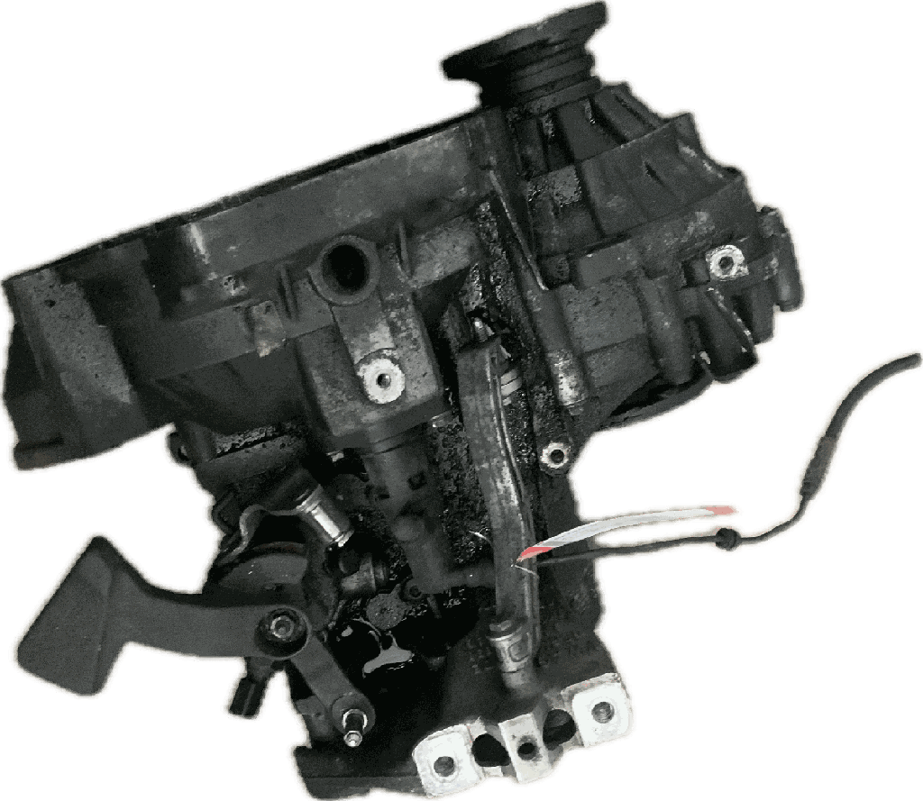 IMG_6913.png