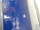 DSCN5818.JPG
