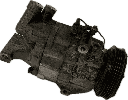 IMG_6609.png