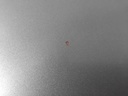 IMG_20250805_161242.jpg