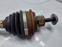 20250825_095423.jpg