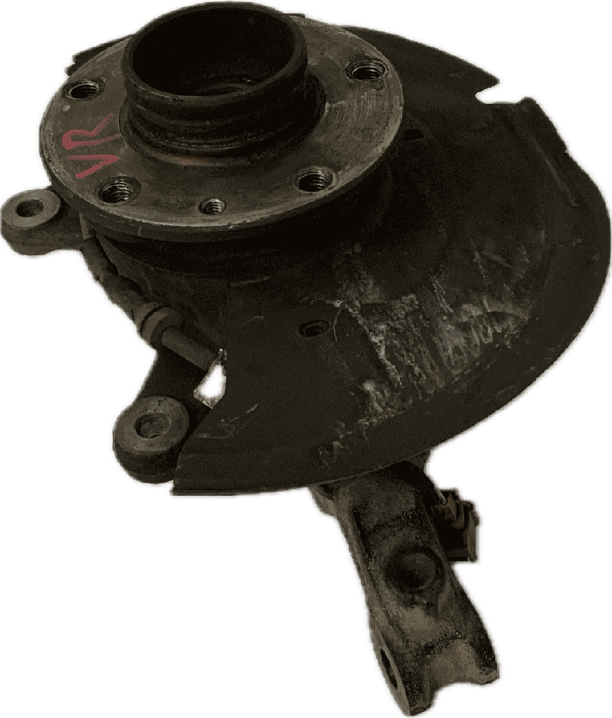 IMG_7703.png