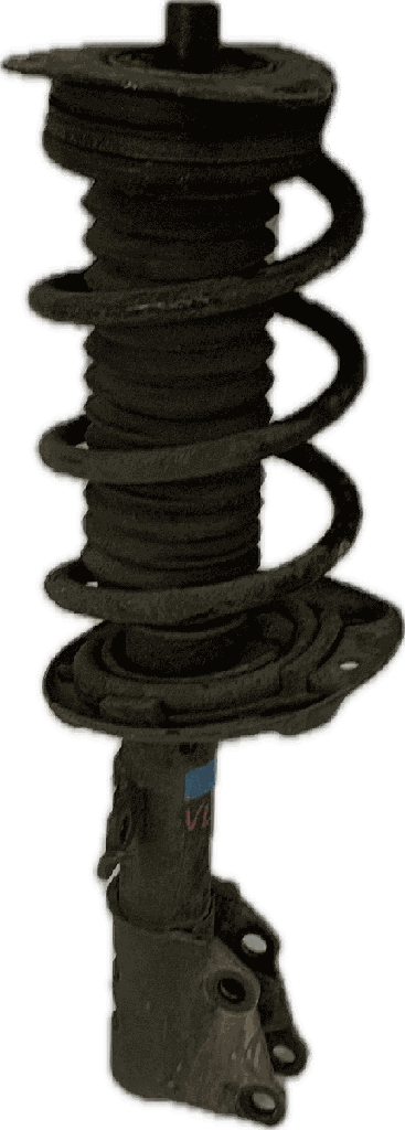 IMG_7708.png