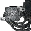 IMG_7592.png
