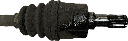 IMG_7861.png