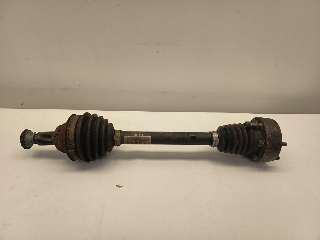 IMG_20250904_115001.jpg