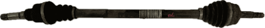 IMG_8238.png