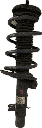 IMG_8234.png