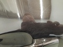 IMG_20250905_092243.jpg