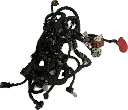 IMG_8198.png