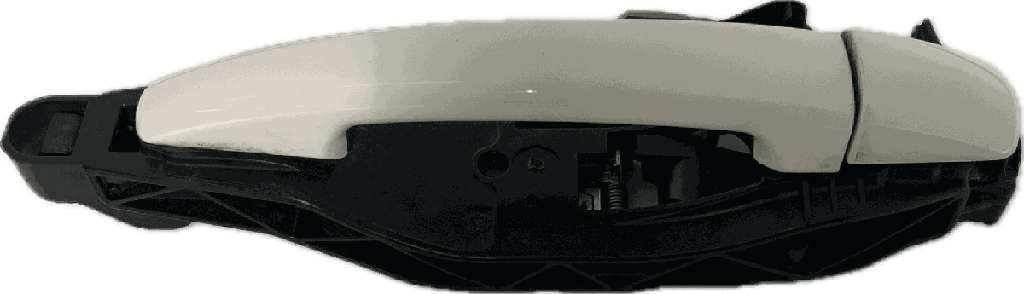 IMG_8086.png