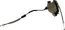 IMG_8271.png