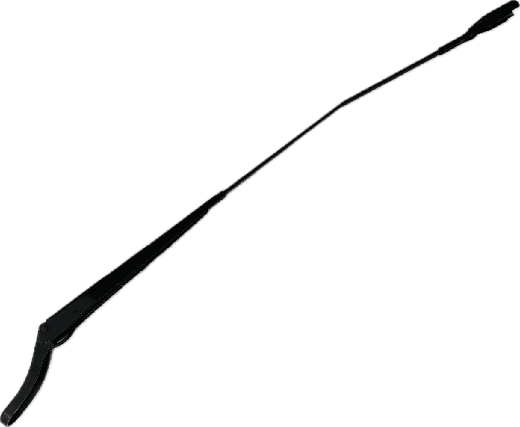 IMG_8206.png