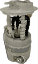 IMG_8981.png