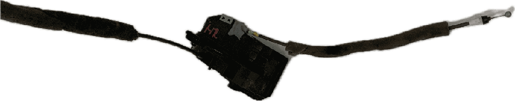 IMG_9009.png