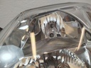 IMG_20250912_132906.jpg