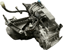 IMG_9758.png