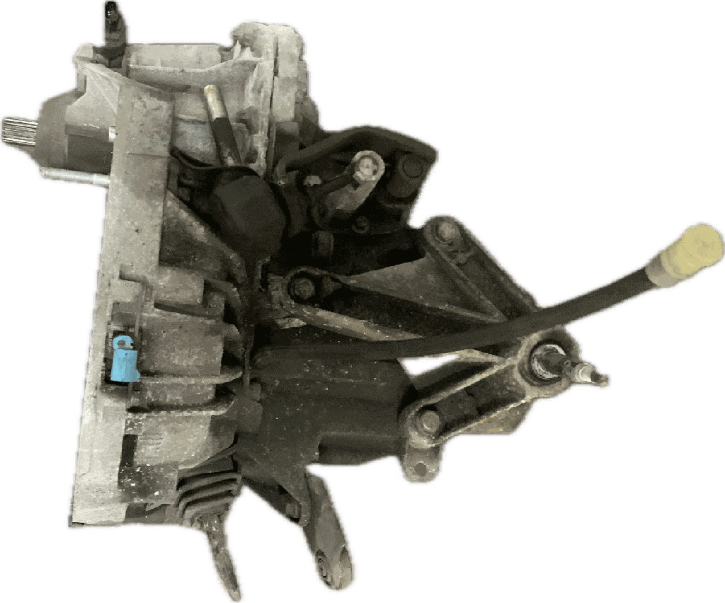 IMG_9756.png