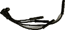 IMG_9711.png
