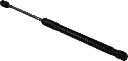 IMG_0025.png