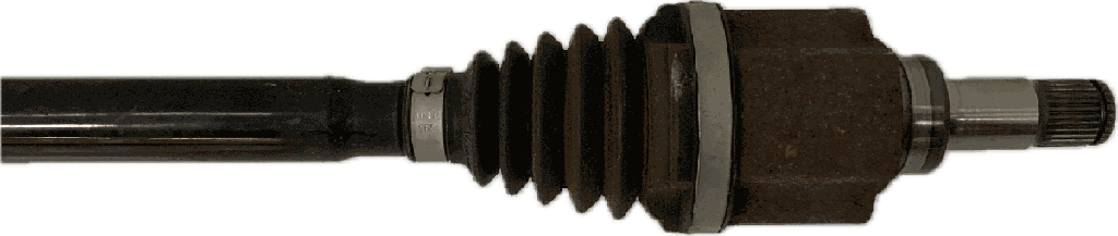 IMG_0047.png