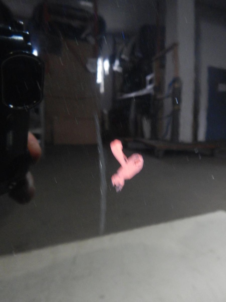 DSCN7245.JPG