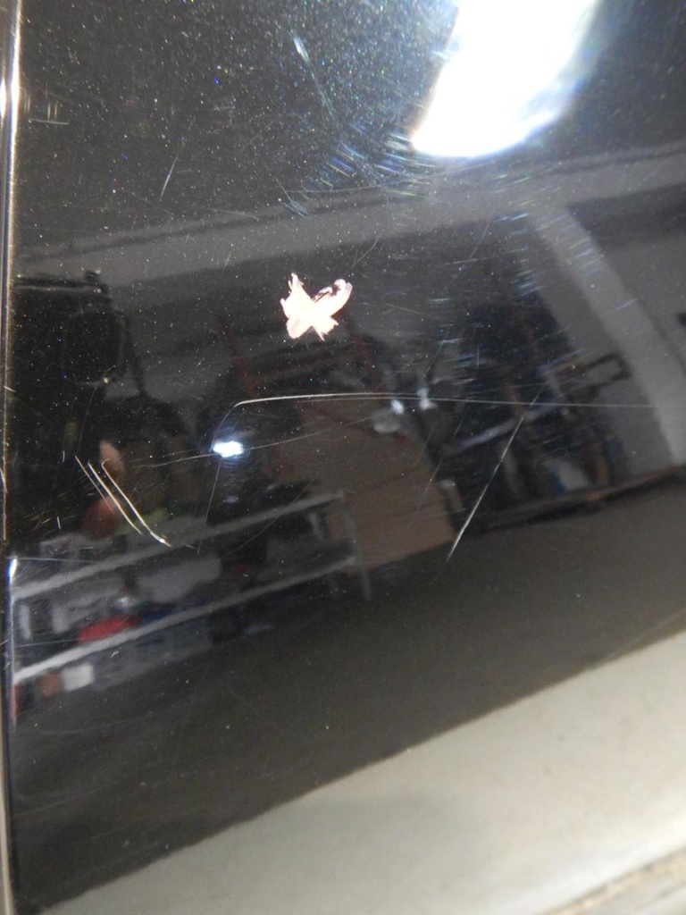 DSCN7173.JPG
