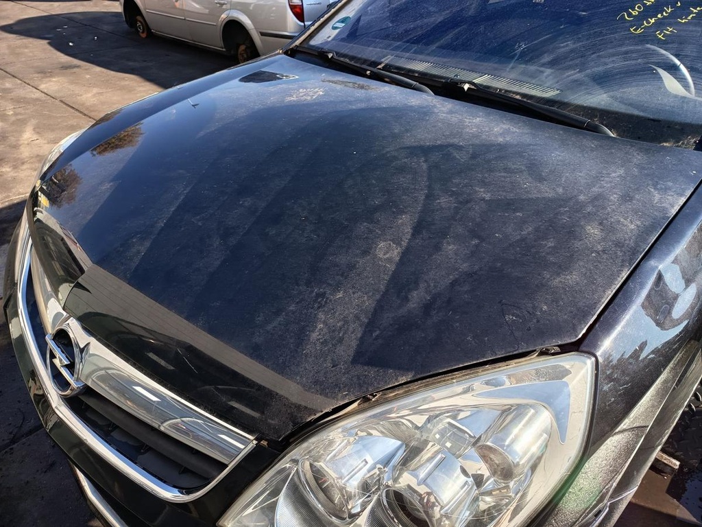 IMG_20250929_104813.jpg